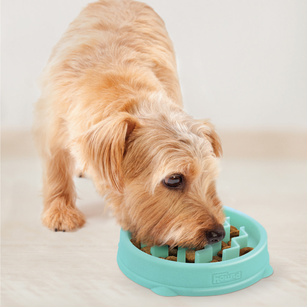 Outward Hound Fun Feeder Slo- Bowl