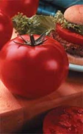 Big Beef Hybrid Tomato Seeds (Italian Type) 2310