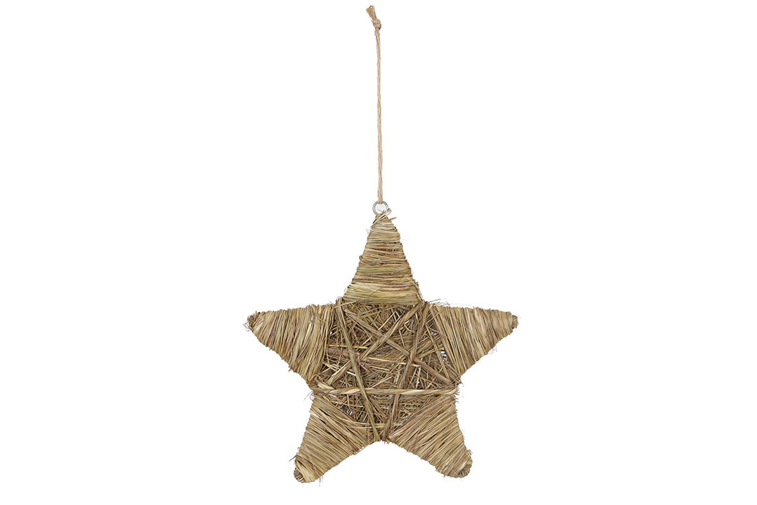 Dijk Hanger star grass natural