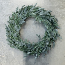 Abies Nordmann Abies Nordmann - Wreath