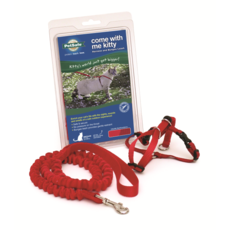 Petsafe Kitty Harness & Bungee Lead