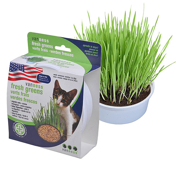 Van Ness Oat Garden Grass Kit/ Cat