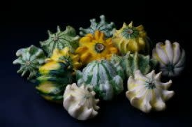 Crown of Thorns Gourd Seeds 5340