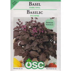 Dark Opal Basil Seeds 3130