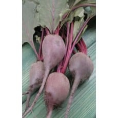 OSC Early Wonder Beet Seeds 1265