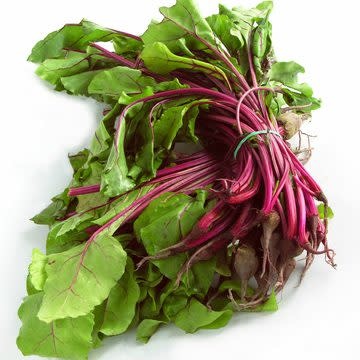 OSC Lutz Green Leaf Beet Seeds 1277