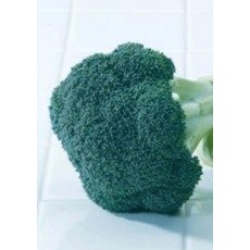 OSC Green Magic Hybrid Broccoli Seeds 1285