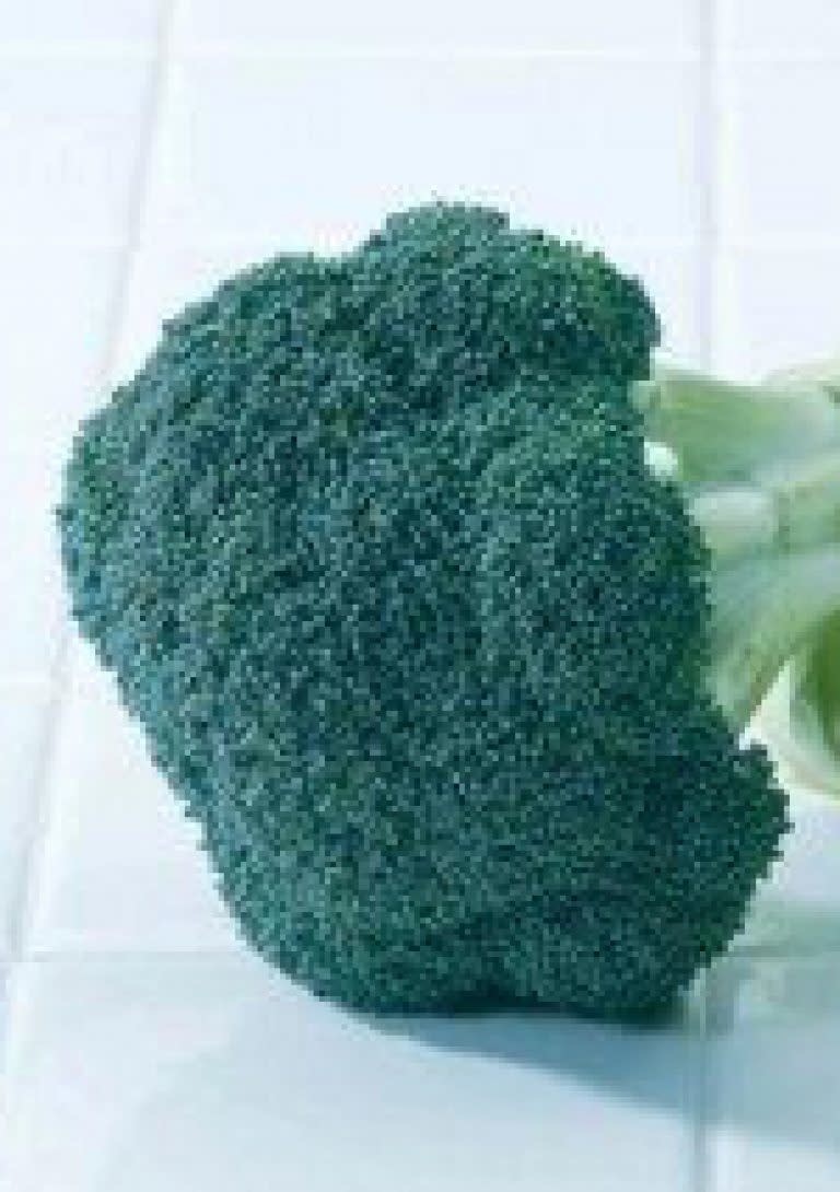 OSC Green Magic Hybrid Broccoli Seeds 1285