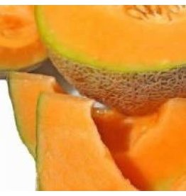 OSC Delicious 51 Cantaloupe / Melon Seeds 1395