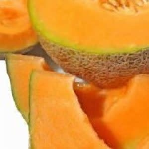 OSC Delicious 51 Cantaloupe / Melon Seeds 1395