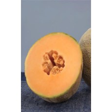 OSC Earlichamp Hybrid Cantaloupe / Melon Seeds 1405