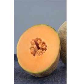 OSC Earlichamp Hybrid Cantaloupe / Melon Seeds 1405