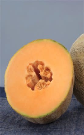 OSC Earlichamp Hybrid Cantaloupe / Melon Seeds 1405