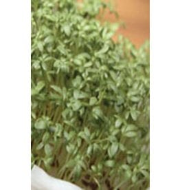 OSC Extra Curled Pepper Grass Seeds (Mustard Group) 1500
