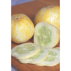 OSC Lemon Cucumber Seeds 1660