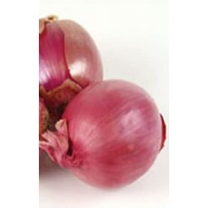 OSC Red Globe Onion Seeds (Market Type) 1825
