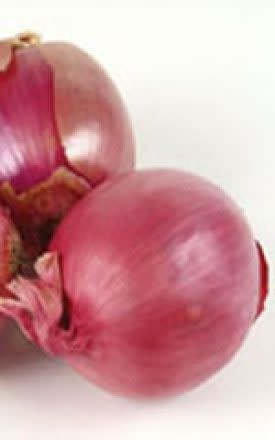 OSC Red Globe Onion Seeds (Market Type) 1825