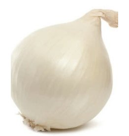 OSC White Sweet or Spanish Onion Seeds (Large Globe Type) 1850