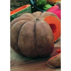 OSC Fairytale Pumpkin Seeds (Baking Type) 2020
