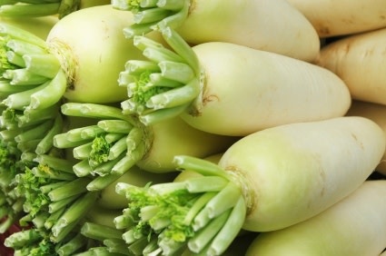 OSC China White Radish Seeds (Winter Type) 2130