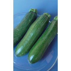 Dark Green Zucchini Squash Seeds (Bush Type) 2245
