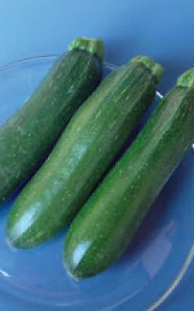 OSC Dark Green Zucchini Squash Seeds (Bush Type) 2245