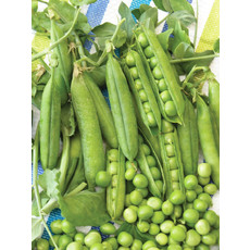 OSC Early Perfection Pea Seeds (Aimers International) 2880