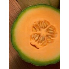 OSC Heart of Gold Organic Melon Seeds