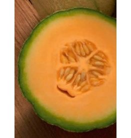 OSC Heart of Gold Organic Melon Seeds