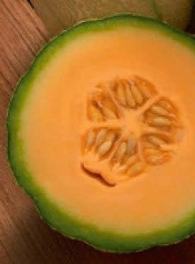 OSC Heart of Gold Organic Melon Seeds