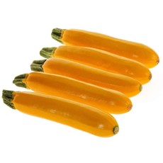 OSC Golden Zucchini Organic Squash Seeds