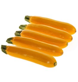 OSC Golden Zucchini Organic Squash Seeds