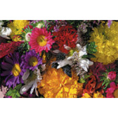 Bouquet Mixture (Mixed Annuals) Jumbo Packet (7x5")