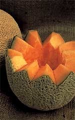 Hale's Best Cantaloupe / Melon Seeds 1390