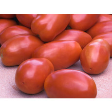 OSC San Marzano Organic Tomato Seeds