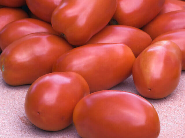 OSC San Marzano Organic Tomato Seeds