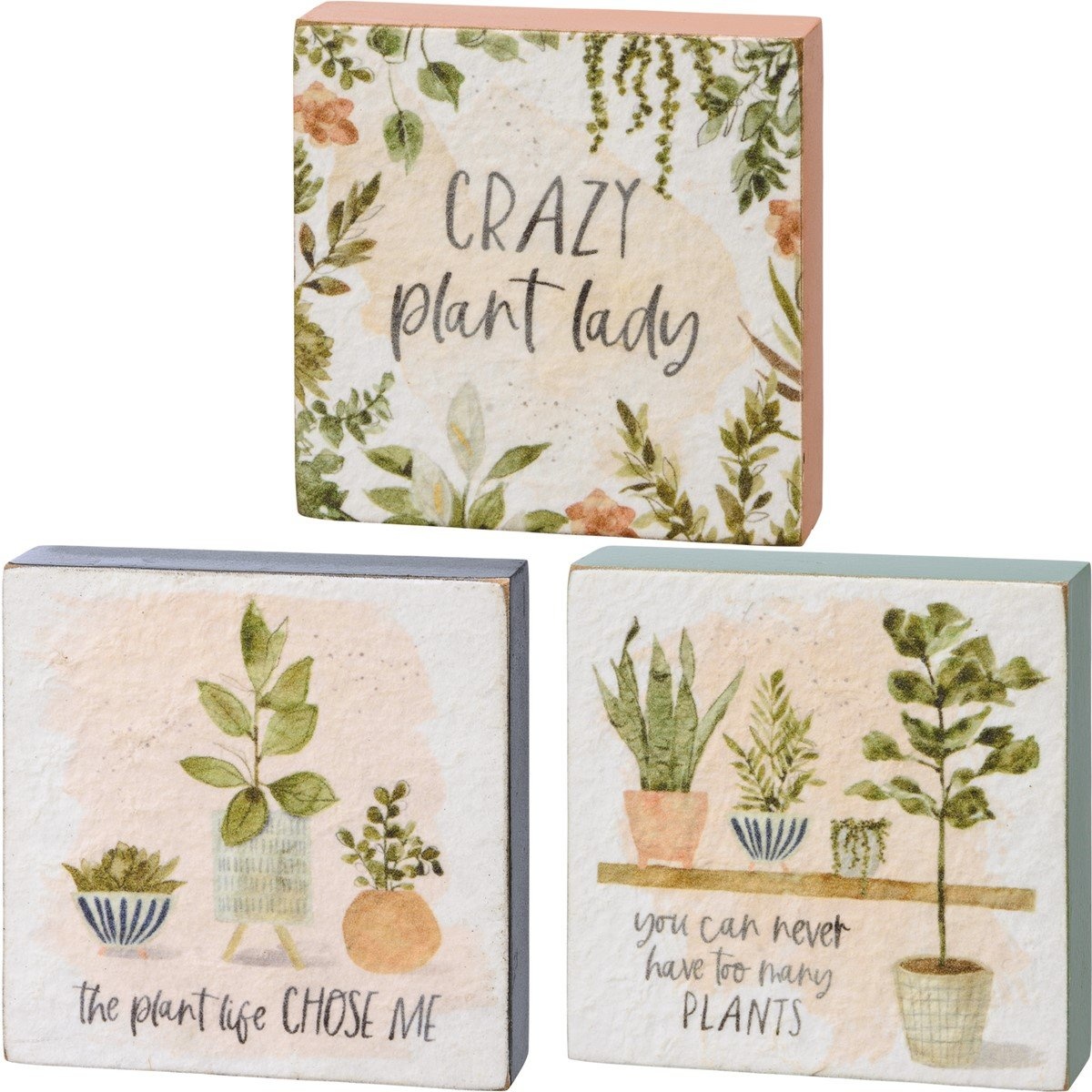 Primitives by Kathy Block Sign Set - Plant Life