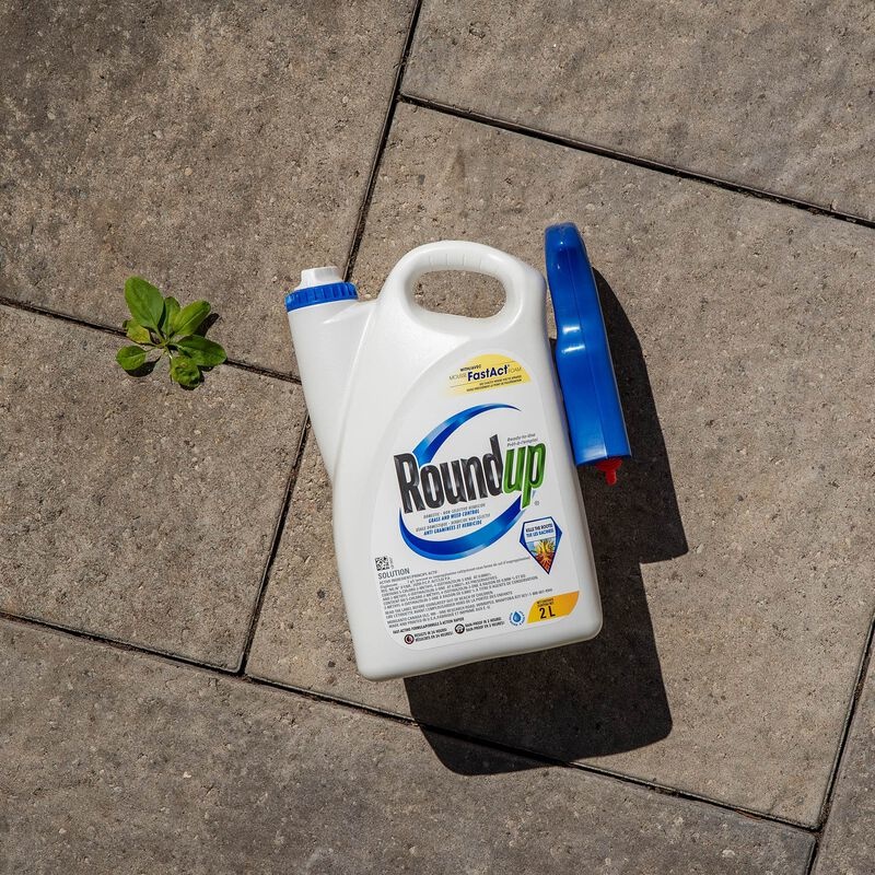 Roundup Roundup Ready-To-Use with Wand Applicator  5L