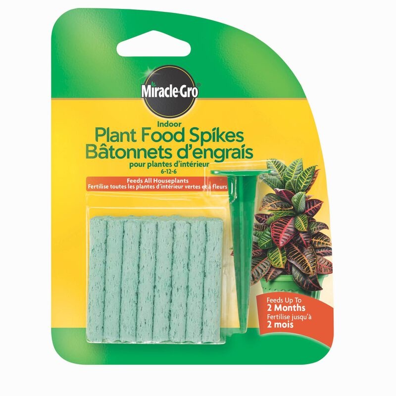 Miracle-Gro Miracle-Gro Indoor Plant Food Spikes Tray  6-12-6   31g