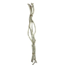 Dijk Branch Liane - 145cm White Wash - Single Stem