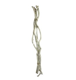 Dijk Branch Liane - 145cm White Wash - Single Stem