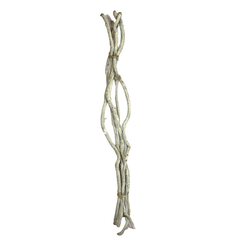 Dijk Branch Liane - 145cm White Wash - Single Stem