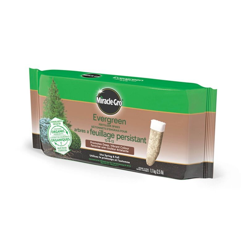 MiracleGro Evergreen Fertilizer Spikes 10 Pack Wilson’s