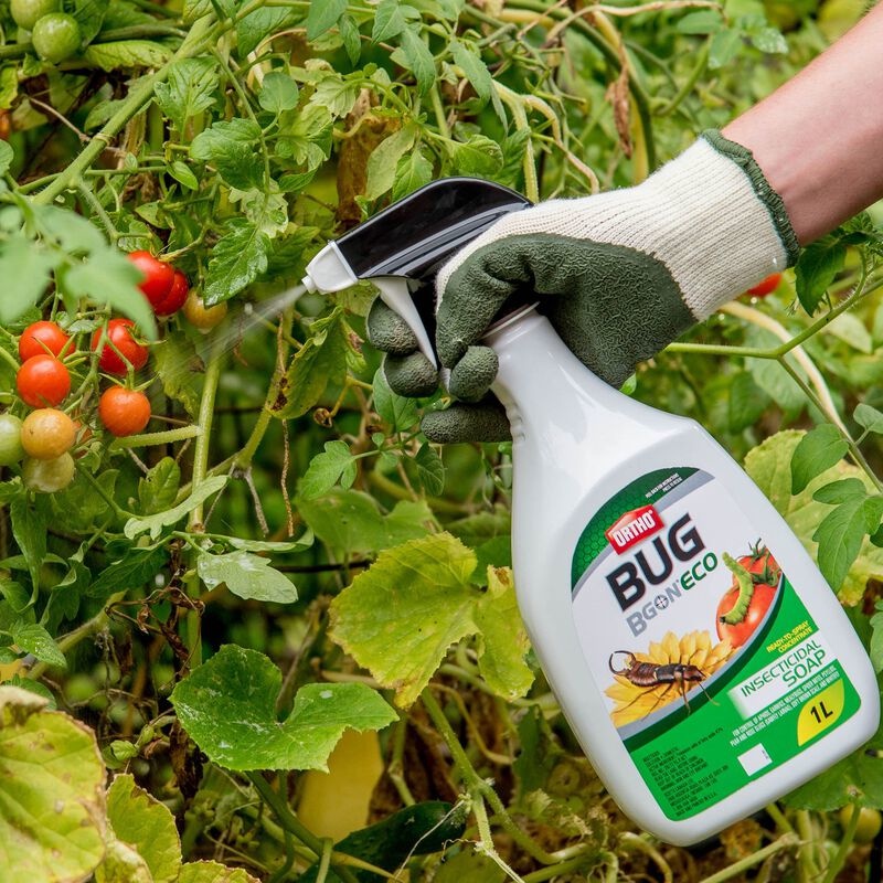 Ortho Bug B Gon ECO Insecticidal Soap Ready to Use 1L Wilson’s