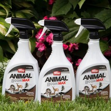 Ortho Ortho - Animal B Gon Spray 400g