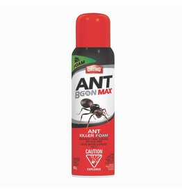 Ortho Ortho - Ant B Gon Max Ant Killer Foam 400 g