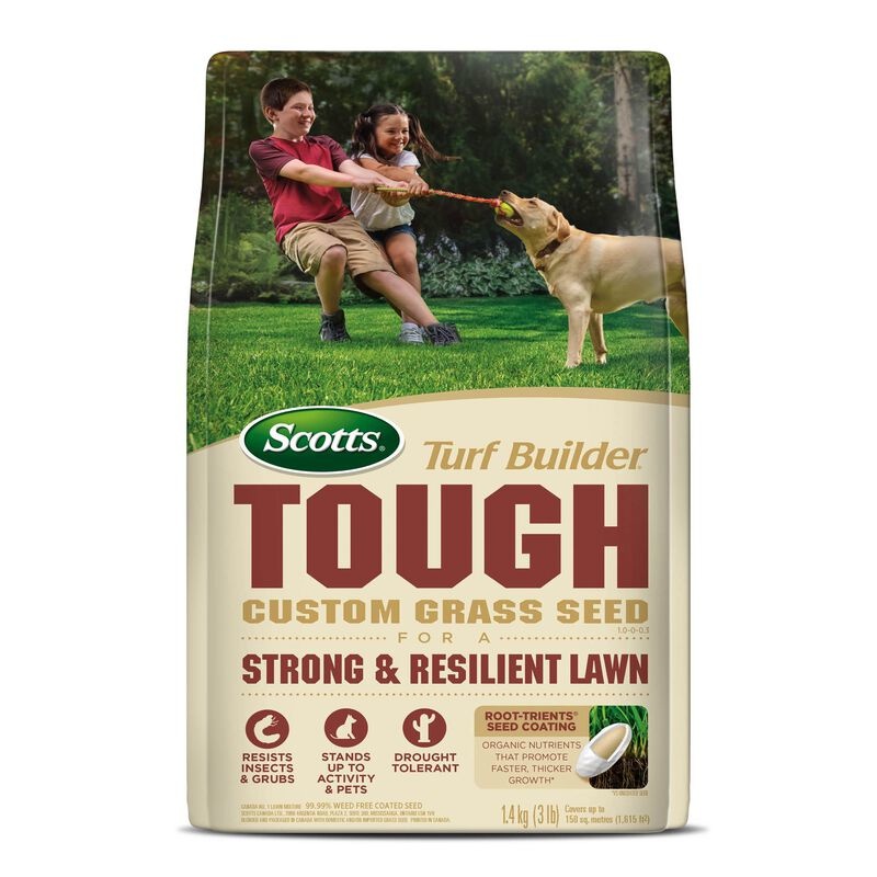 Scotts Scotts - Turf Builder Tough Lawn Seed Blend - 1.4kg