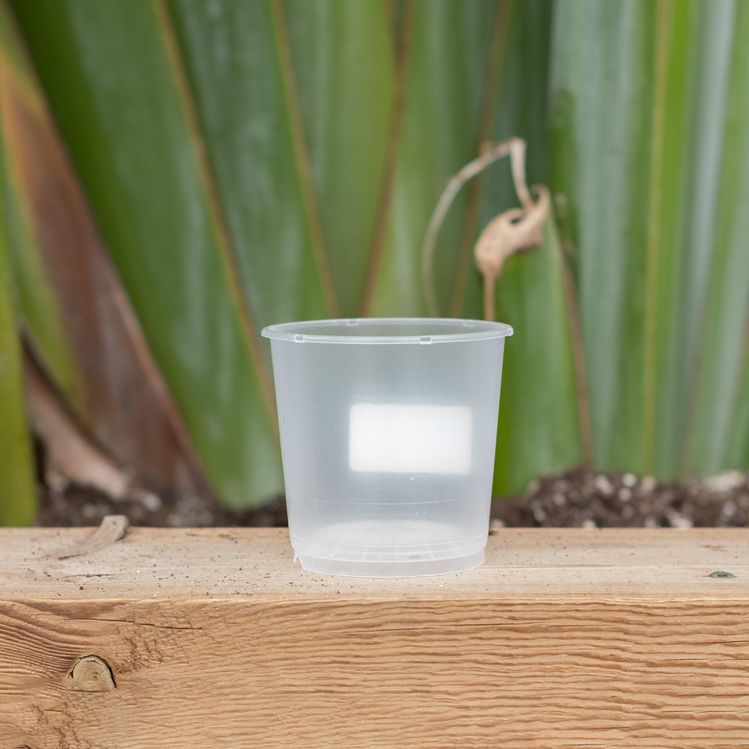 Orchid Pot - Round Transparent - 9cm
