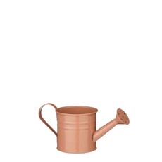 Joey Planter - Watering Can Style 14cm