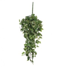 Mica Scindapsus hanging Green - l80xw30xh15cm